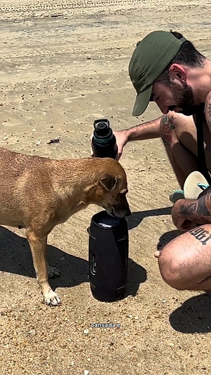 A cachorrinha estava morrendo de sede.