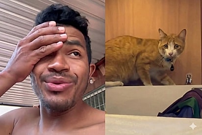 Homem liga para tutores após descobrir que sequestrou sem querer o gato “Cenoura” e que ele está a 800 km de casa