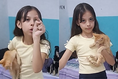“Em nome desse gato”: garotinha faz promessas para convencer a mãe a ficar com gato resgatado das ruas.