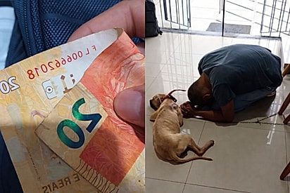 “O amor rompe barreiras”: veterinária se emociona após homem oferecer o único dinheiro e orar por ela ao pedir ajuda para sua cachorrinha.