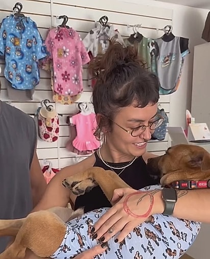 O cãozinho já foi castrado.