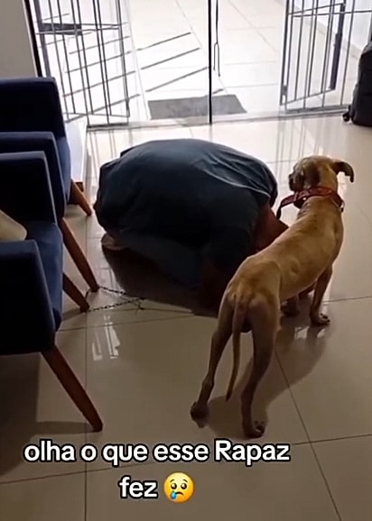 O homem chegou até a clínica pedindo ajuda para a sua cachorrinha.