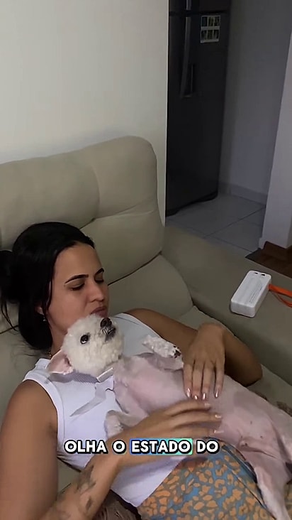 A tutora não ouviu o marido e o cão foi completamente tosado.