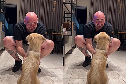 Ela é bonitinha! Quem é você?”:Mulher surpreende marido com vira-latinha caramelo e sua reação emociona milhares