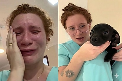 “Eu tô tão feliz”: Durante tratamento, veterinária se encanta por cachorrinha resgatada e toma decisão que muda duas vidas