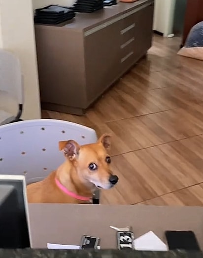 A recepcionista do hotel.