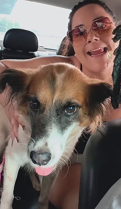 Saúna foi resgatada e ganhou uma nova família. 