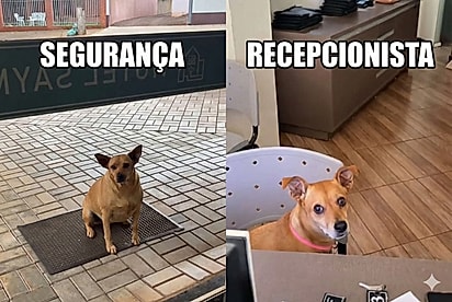 Jovem mostra quem são as funcionárias em hotel no Paraná