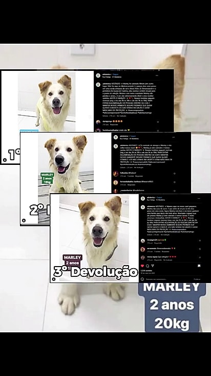 Hiro foi devolvido quatro vezes antes de encontrar a família perfeita.