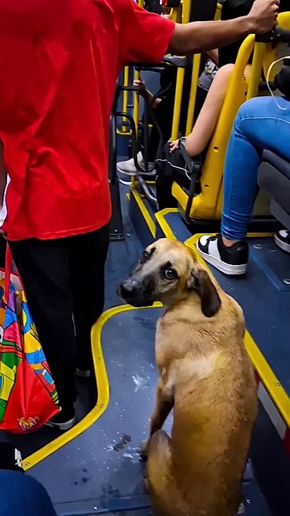 Ele parecia assustada e com frio.