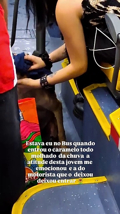 A jovem retirou o casaco e começou a secar o cão.