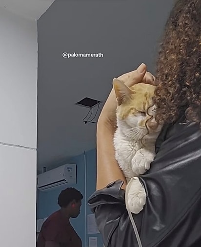 Amarelinho também foi resgatado no primeiro dia do ano. 