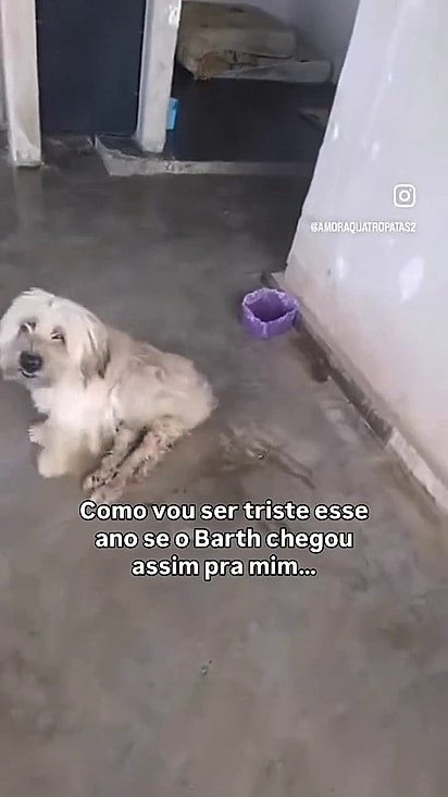 Barth foi encontrado se arrastando.