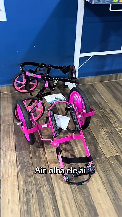 A cadeirinha foi preparada especialmente para Audrey.