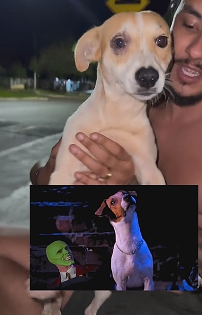 Segundo o músico, o cão parecia com Milo, o cachorro do filme Máscara. 