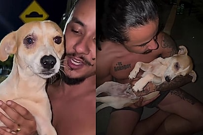 Cantor encontra cachorro mancando na rua e decide levá-lo para casa após show