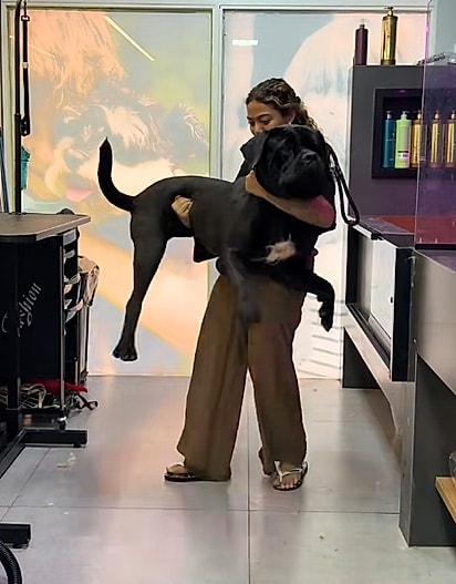 Mesmo filhote, o cão Cane Corso era enorme.