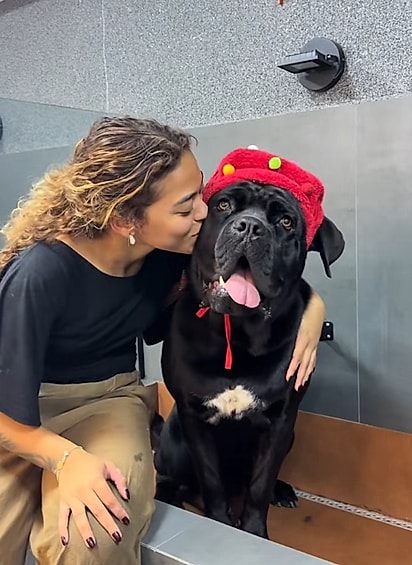 Ester e o filhote de Cane Corso após o banho.