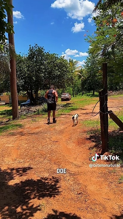 Belinha ganhou um lar e vive solta.