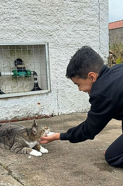 Miguel fazendo carinho em um gatinho que fez amizade na rua.