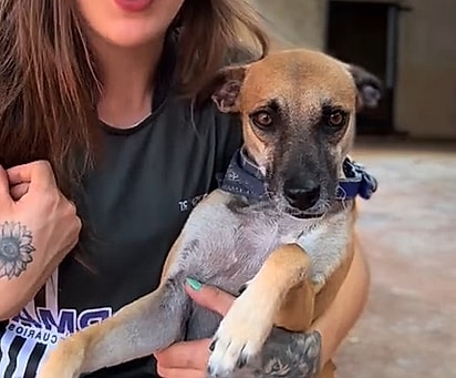 Em um vídeo nas redes sociais, Jheny desabafou sobre o ocorrido.