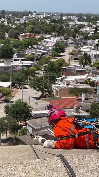 Os bombeiros agiram com cautela e sabedoria.