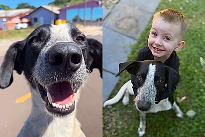 Mulher sai de casa para fazer massagem e acaba voltando com um novo integrante na família