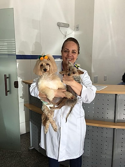 Kira estava muito debilitada, mas com amor e cuidados médicos, conseguiu viver dias de conforto, carinho e dignidade.