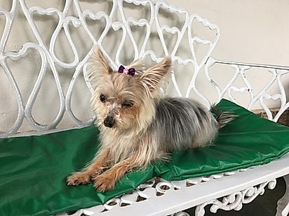 Kira passou por uma incrível transformação, redescobrindo o amor, o cuidado e a alegria de viver.