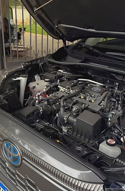 De dentro do carro pareciam vir miados.