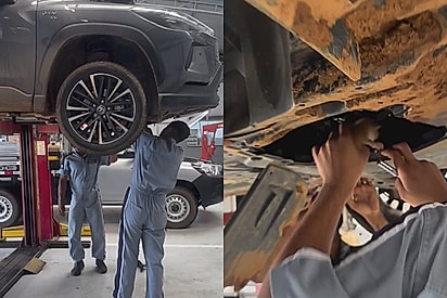 “Meu carro pariu”: carro ‘dá à luz’ a quatro filhotes em concessionária