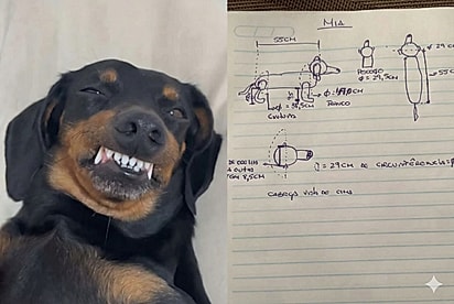 “Levantamento AUquitetônico perfeito”: Filha pede ao pai para medir cachorrinha, mas se surpreende projeto detalhado
