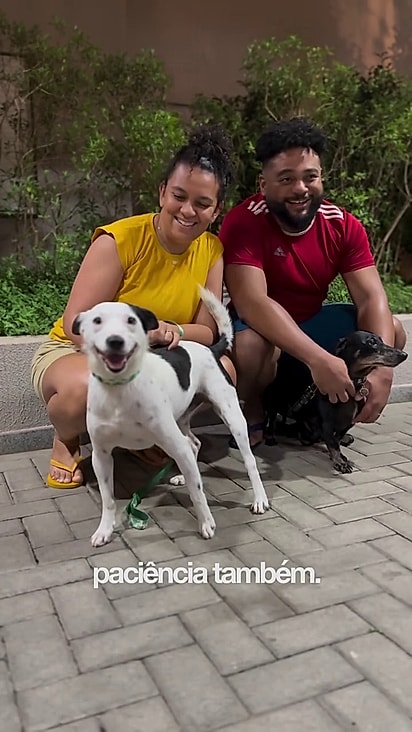 A família nova de Simba viajou para poder encontrá-lo.