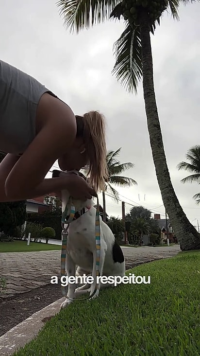 A protetora teve muita paciência com o cão.