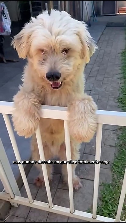 A condição de Fofo não o impede de ter uma vida normal.