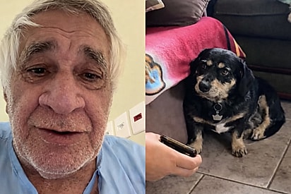 “Cadê o meu gurizinho?”: Avô internado grava vídeo para tranquilizar pet e reação emociona.