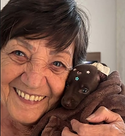 A vozinha com o pinscher que ganhou das netas.