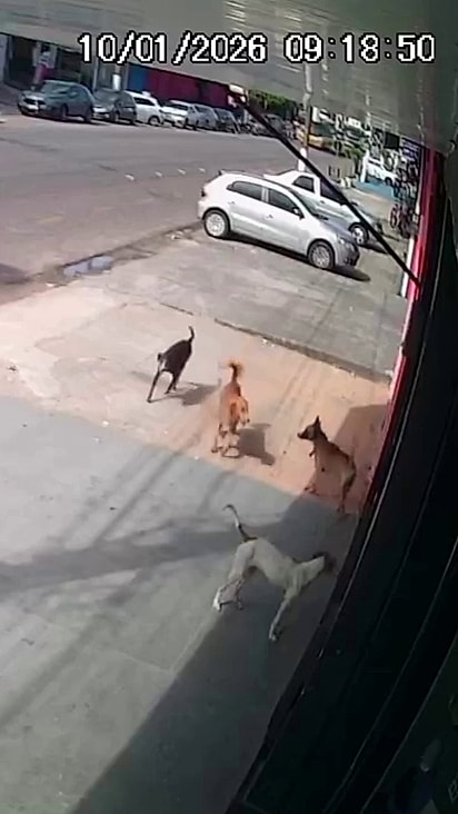 O grupo sempre está reunido na loja.