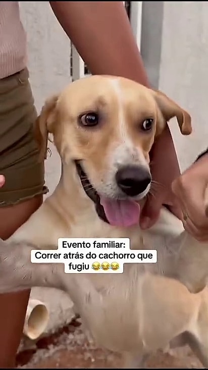 Apesar da situação ele não demonstrou arrependimento.