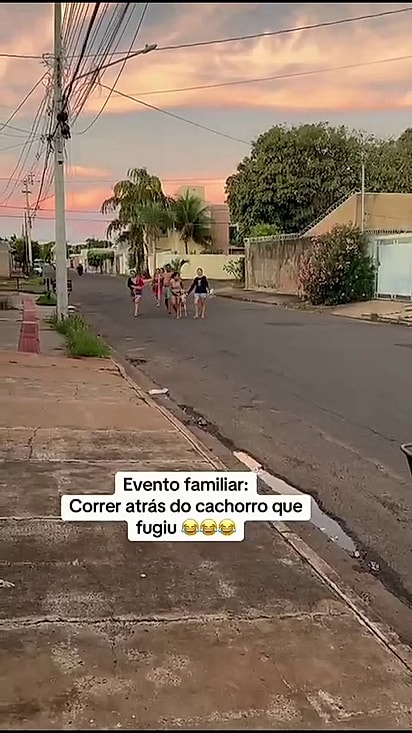 Apollo fugiu e mobilizou a família inteira.