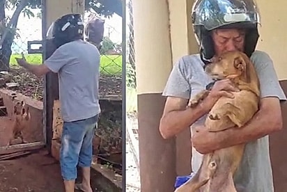 Após desaparecer durante a queima de fogos no Ano-Novo, tutor tem reencontro emocionante com seu cachorro.