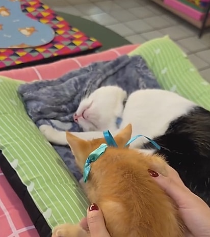 Paulo Roberto estava dormindo quando a tutora chegou com o presente.