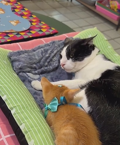 Paulo Roberto não ficou muito contente.