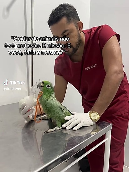 A ave estava sentindo alívio com a nebulização.