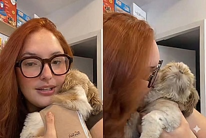 Veterinária explica por que decidiu não devolver cão levado para banho e tosa