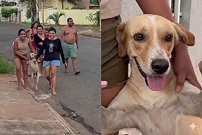 “Não me arrependo de nada!”: Vira-lata mobiliza a família inteira para correr atrás dele após fuga e captura viraliza