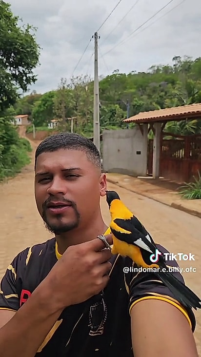 A ave sempre volta para pousar em Lindomar.