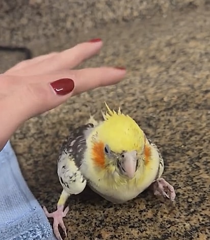 Aos poucos, ela foi melhorando.