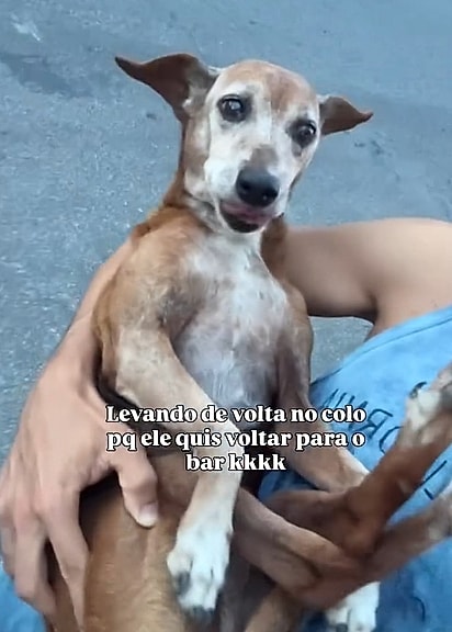 Snoopy é um cachorrinho aventureiro.