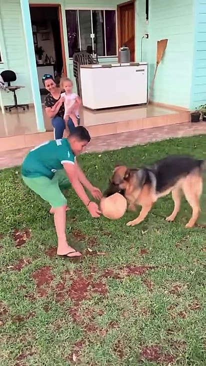 Lobo já está recuperado e interagindo com a família.